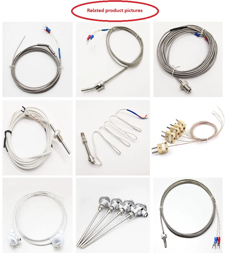 product-750px-1 Platinum Rhodium K J Type Thermocouple Sensor